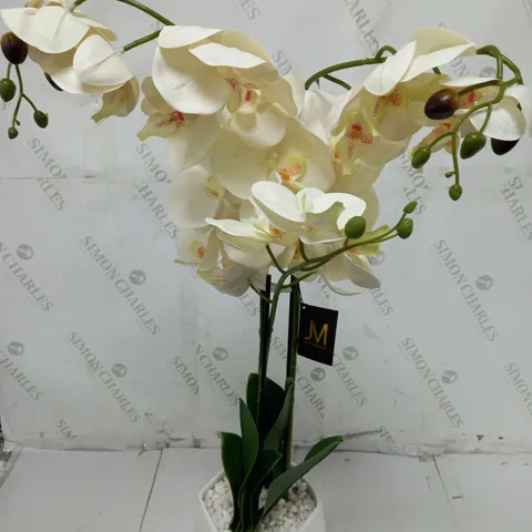 JULIEN MACDONALD MULTI STEM ORCHID IN WHITE GLAZED POT