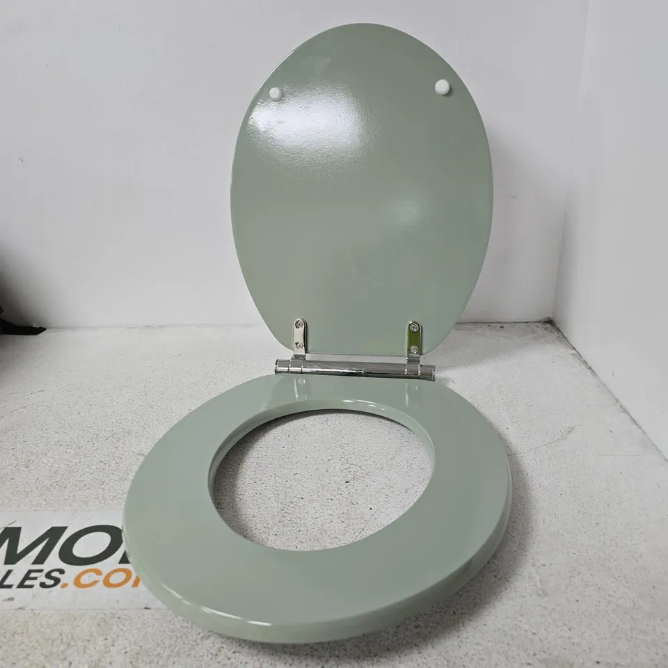 GREEN/GREY TOILET SEAT WITH LID & CHROME HINGES