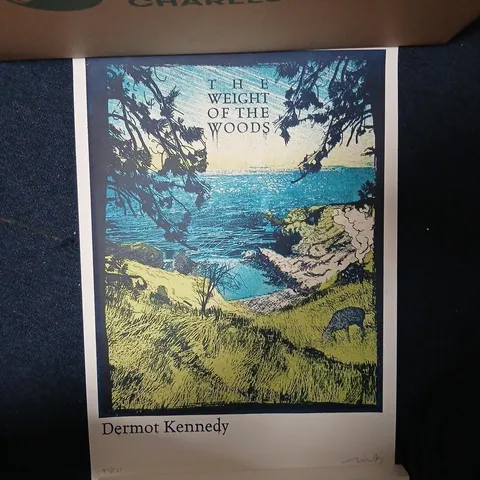 Dermot Kennedy – The Weight of the Woods Screenprint signed and numbered # 97/525