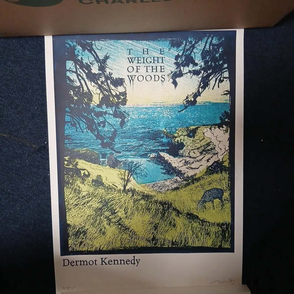 Dermot Kennedy – The Weight of the Woods Screenprint signed and numbered # 97/525