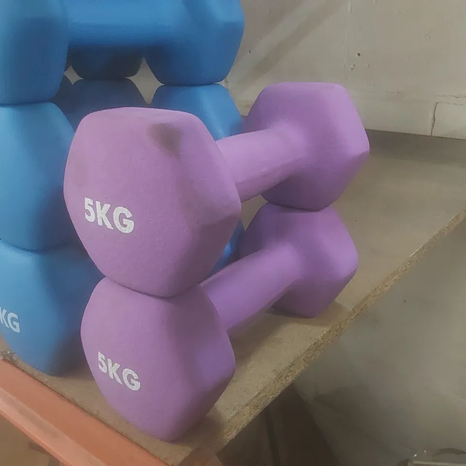 SET OF 2 KAYMAN 5KG DUMBELLS - PURPLE
