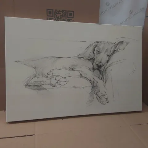WRAPPED CANVAS DOG SKETCH