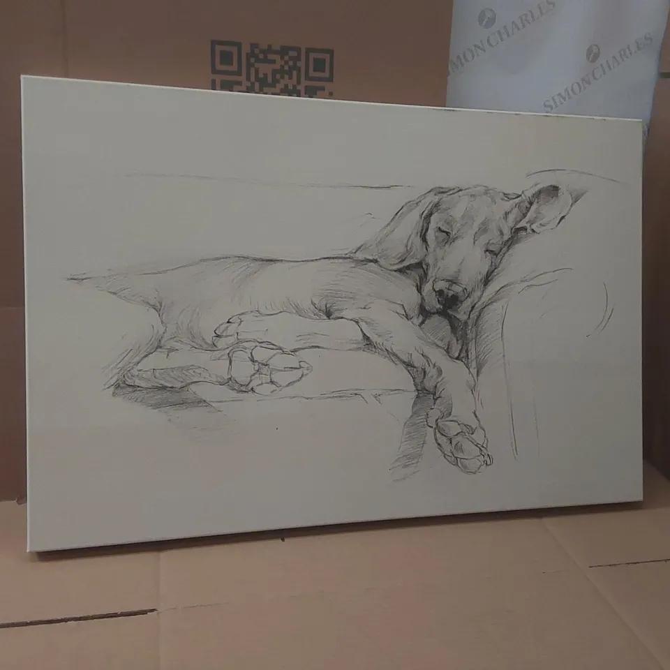 WRAPPED CANVAS DOG SKETCH 
