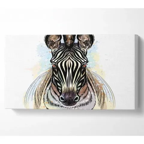 BOXED ZEBRA HEAD - WRAPPED CANVAS GRAPHIC ART
