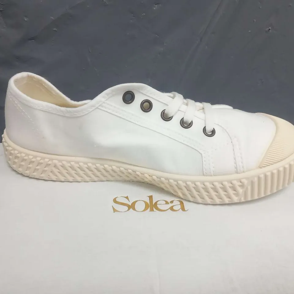 BOXED SOLEA BUMP BONE CANVAS SNEAKERS SIZE 37