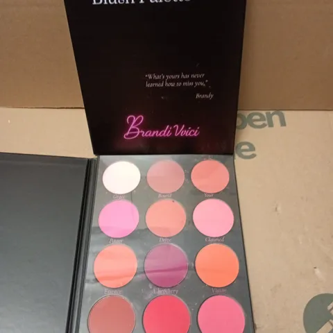 BRAND VVICI EVERY MOOD BLUSH PALETTE