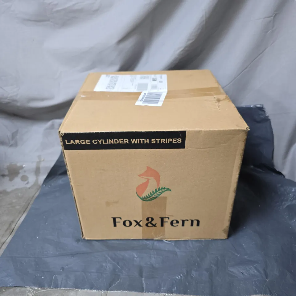 FOX AND FERN STRIPED GARDEN POT 11" BOXED