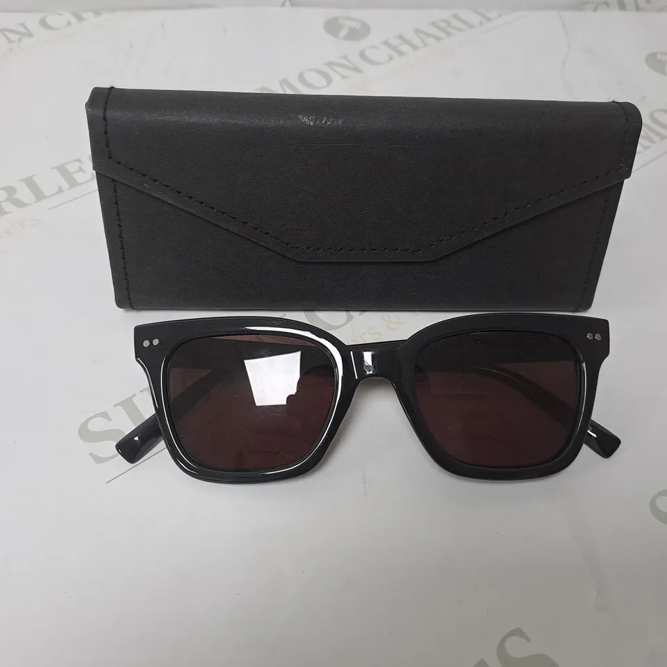 HUMMINGBIRD SUNGLASSE AND READING GLASSES 3.0