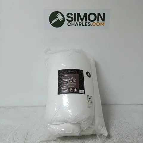 SET OF 2 DUCK FEATHER PILLOWS
