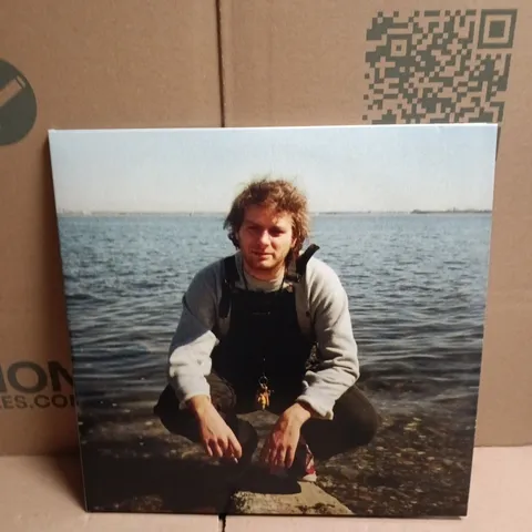 MAC DEMARCO ANOTHER ONE VINYL 
