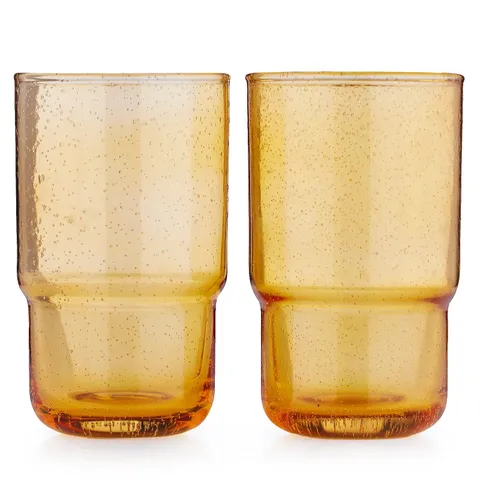 GARDEN STORIES STUDIO 70 SET OF 2 GLASS TUMBLERS