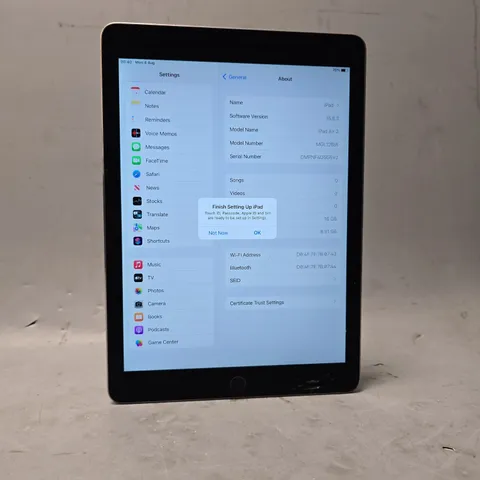 APPLE IPAD AIR 2 