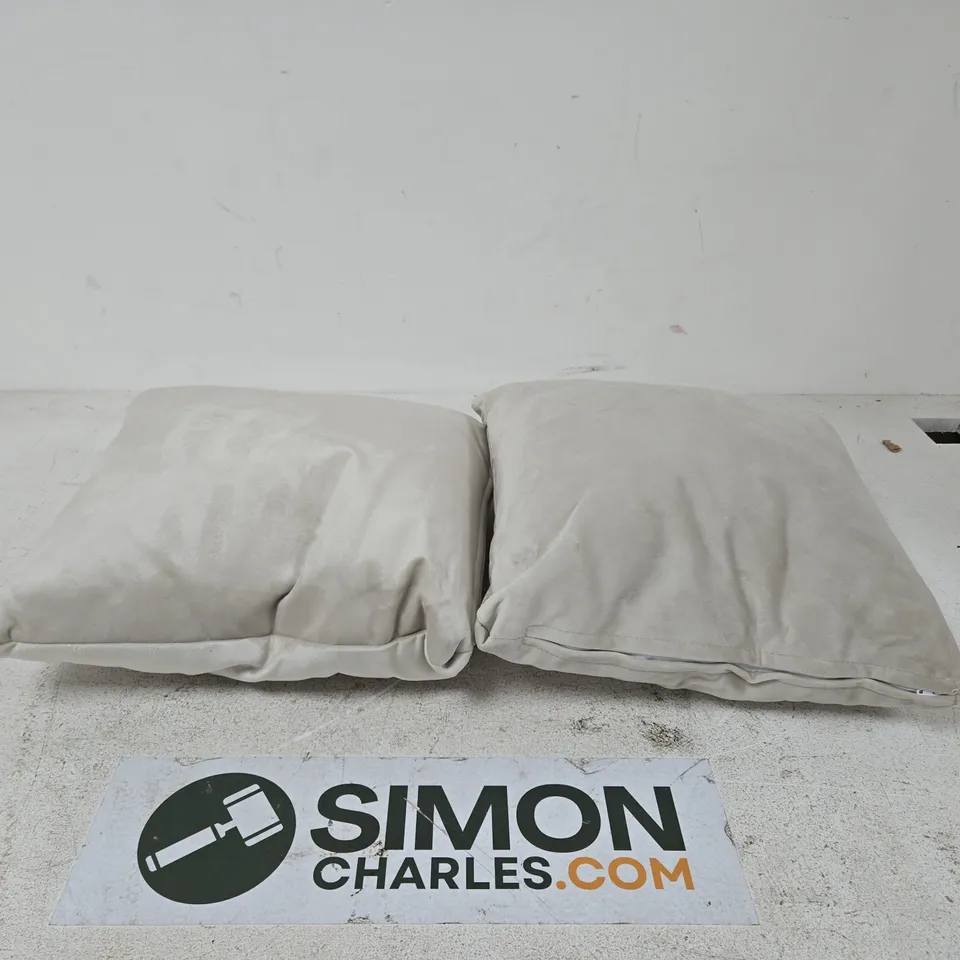 PAIR OF LIGHT GREY SOFA CUSHIONS