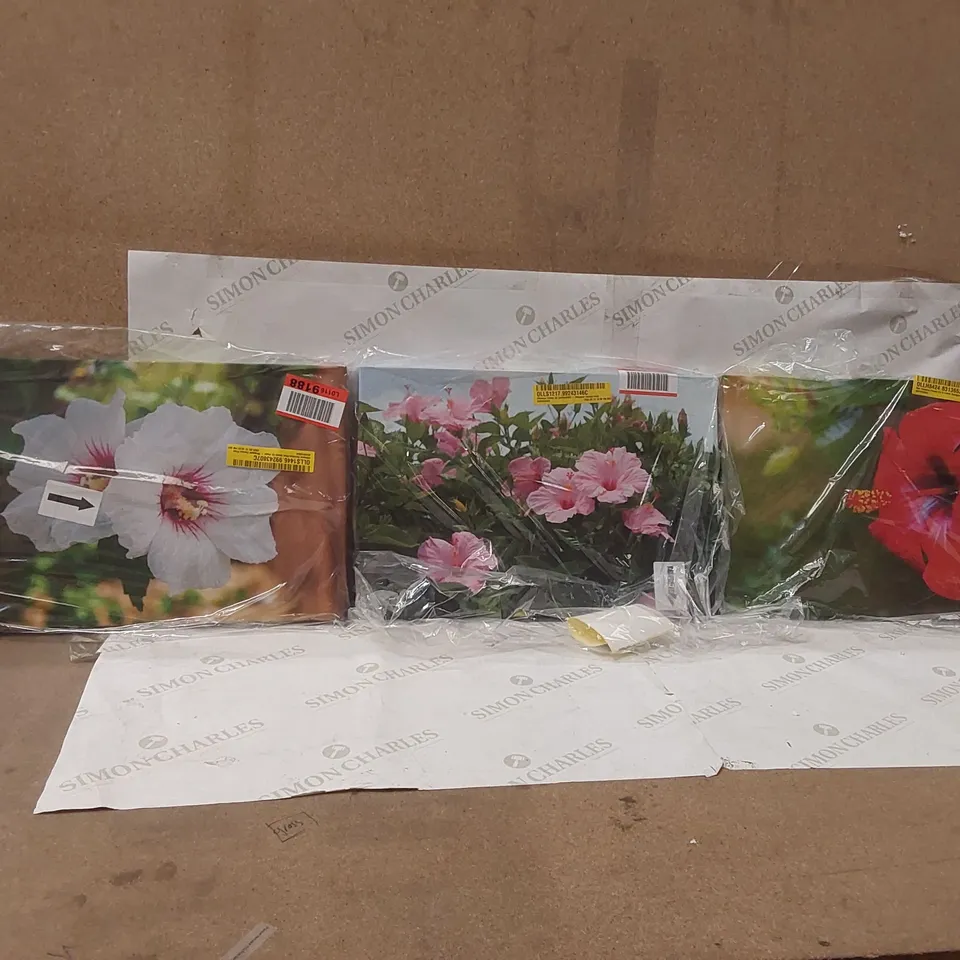 SET OF 3 BAGGED FLORAL PRINT WRAPPED CANVASES