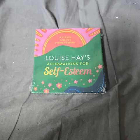 APPROXIMATELY 20 ASSORTED HOUSEHOLD ITEMS INCLUDING SELF ESTEEM CARDS . THE FIVE MINUTE JOURNAL AND INVISIBLE DISC PLATE HANGER 