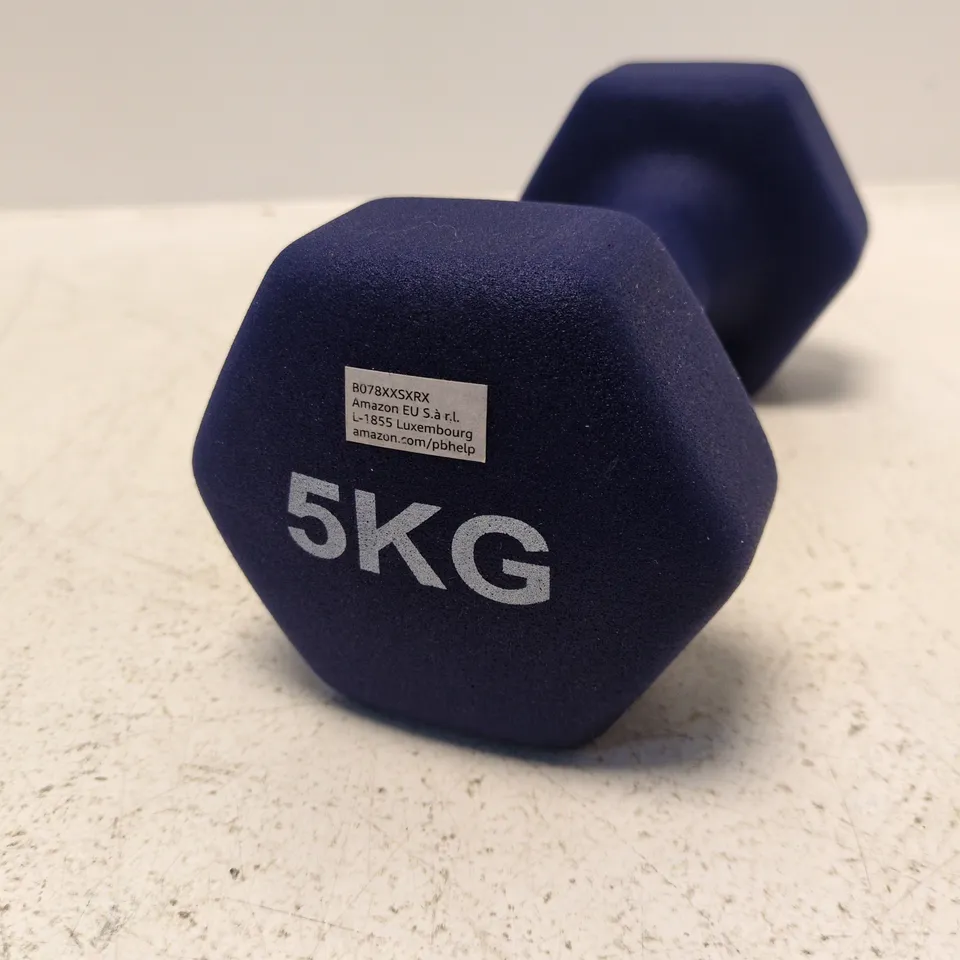 Blue 5 kg Hex Dumbbell