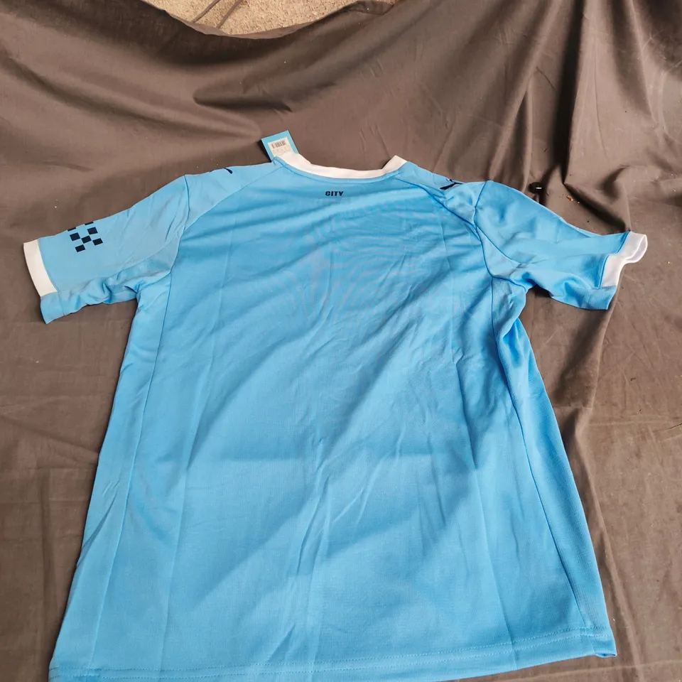 OFFICIAL MANCHESTER CITY FC PUMA HOME FOOTBALL SHIRT – SKY BLUE - SIZE M