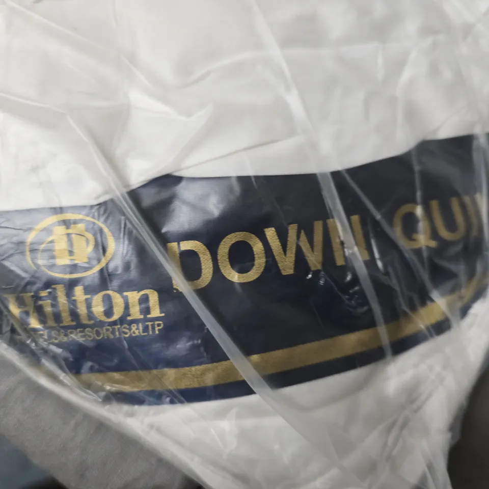HILTON HOTEL DOWN QUILT PILLOW PAIR IN WHITE