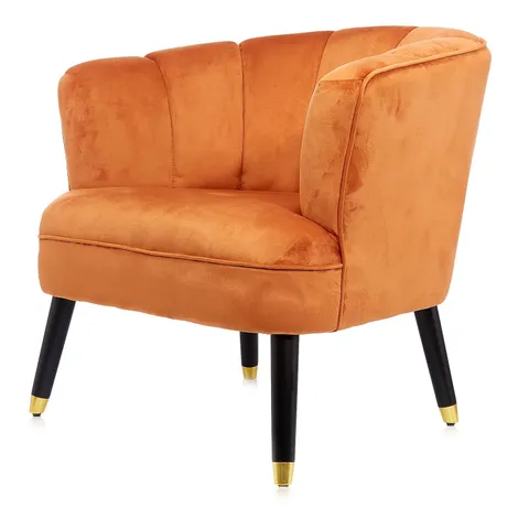 MY HOME STORIES VELVET ARMCHAIR WITH GOLD TIPPED LEGS - COLLECTION ONLY 