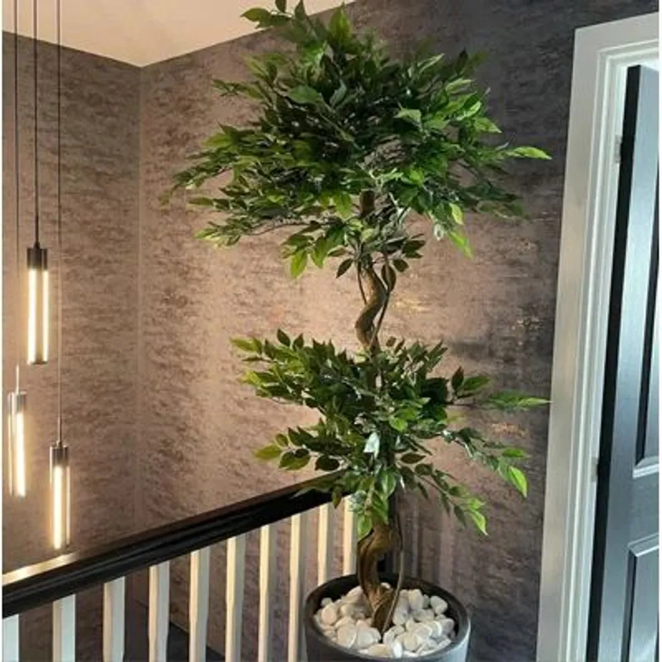 BOXED ARTIFICIAL EVERGREEN LARGE TREE 150cm LARGE TWISTED FICUS (1 BOX)