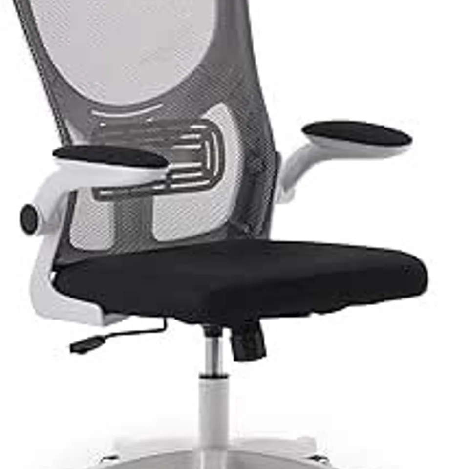 BOXED ERGONOMIC OFFICE CHAIR, SWIVEL MESH CHAIR WITH LUMBAR SUPPORT, ADJUSTABLE HEIGHT FOR HOME AND WORK