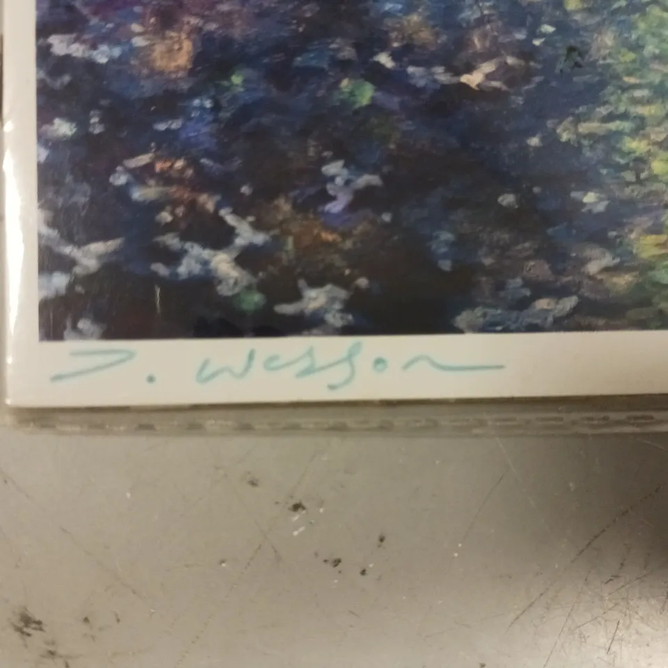 DANIEL WESSON SIGNED COSTA RICA ART PRINT