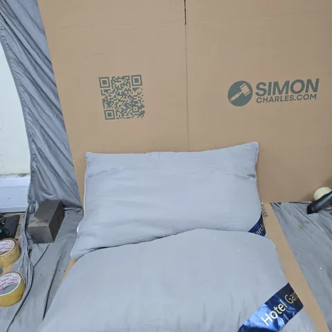 2X HOTEL GARDEN PILLOWS