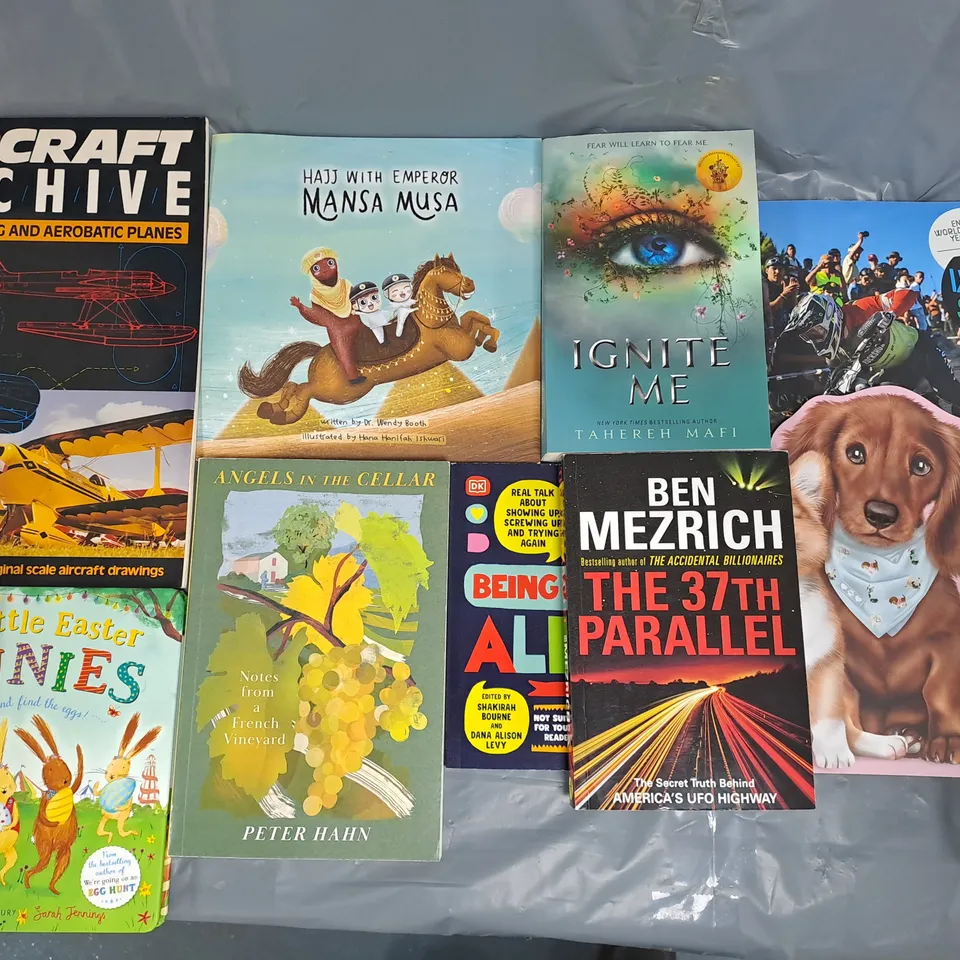 LARGE QUANTITY OF ASSORTED BOOKS BY VARIOUS AUTHORS TO INCLUDE NOELLE HOLTEN, H. D. CARLTON, TAHEREH MAFI, ETC