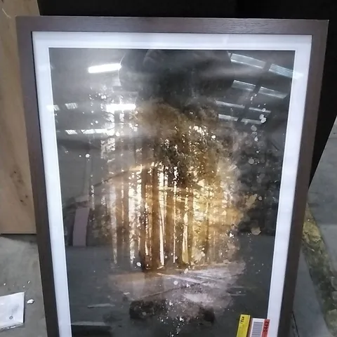 SUNLIGHT THROUGH THE FOREST- PICTURE FRAME 