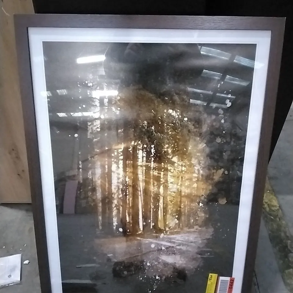 SUNLIGHT THROUGH THE FOREST- PICTURE FRAME 