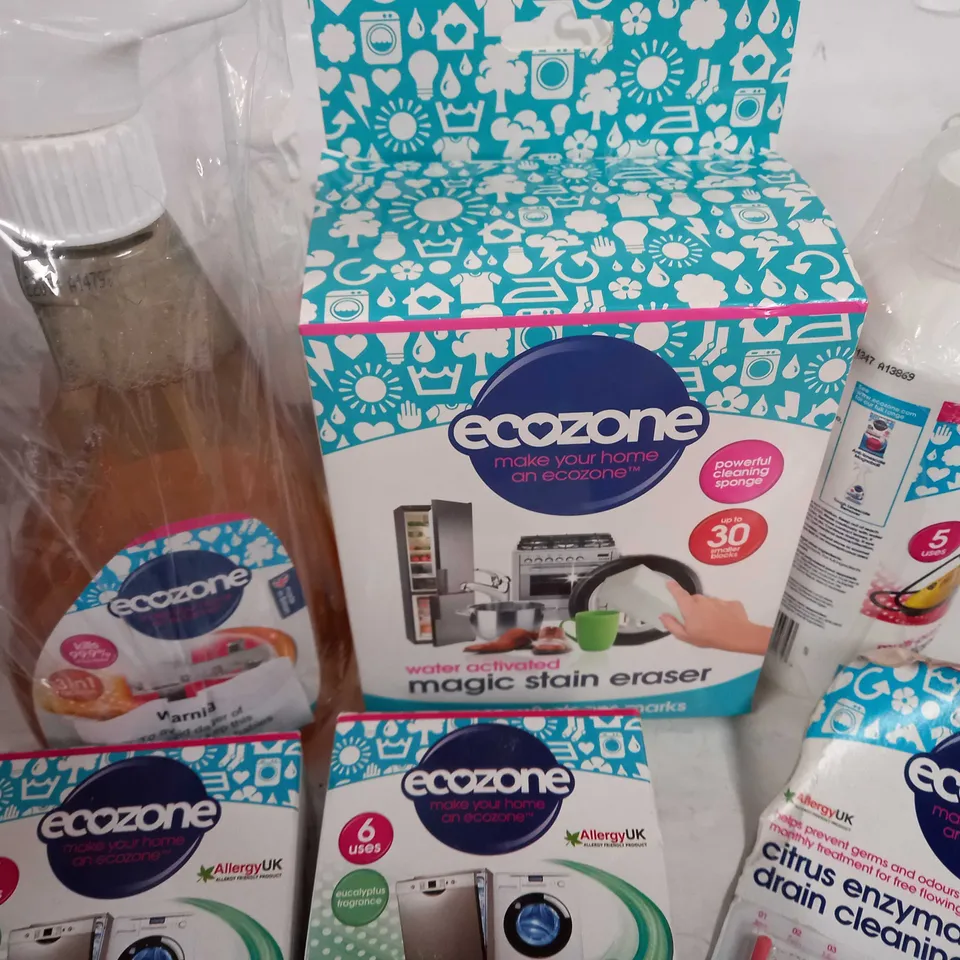 ECOZONE ECO-CONSCIOUS CLEANING KIT