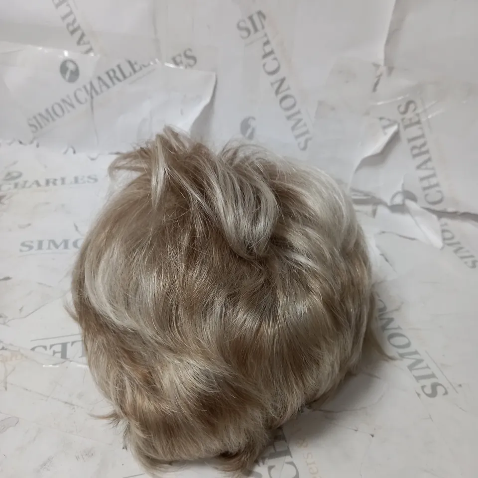 ABSOLUTELY WIG BY NATURAL IMAGE 