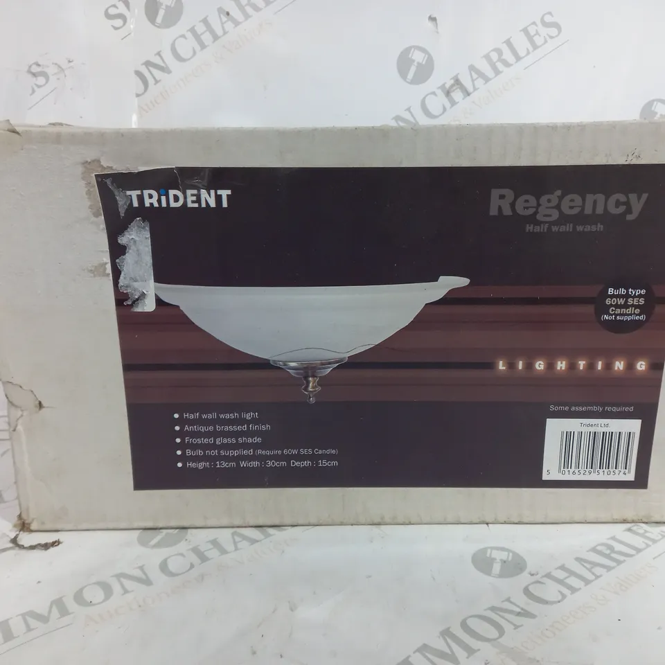 BOXED TRIDENT REGENCY HALF WALL WASH LIGHT
