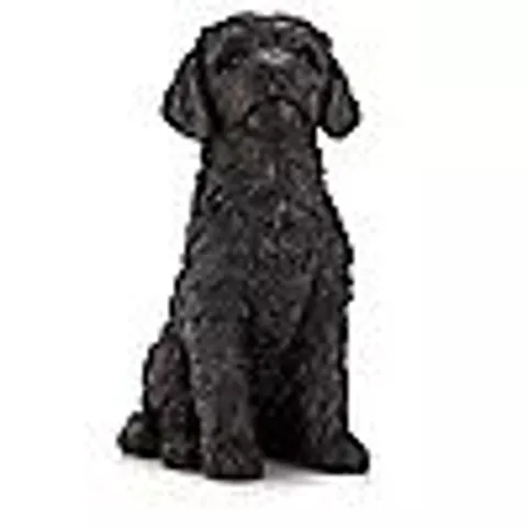 GARDEN REFLECTIONS ZIGGY THE COCKAPOO DOG SCULPTURE