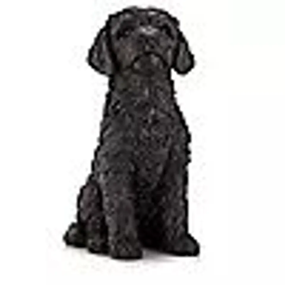 GARDEN REFLECTIONS ZIGGY THE COCKAPOO DOG SCULPTURE