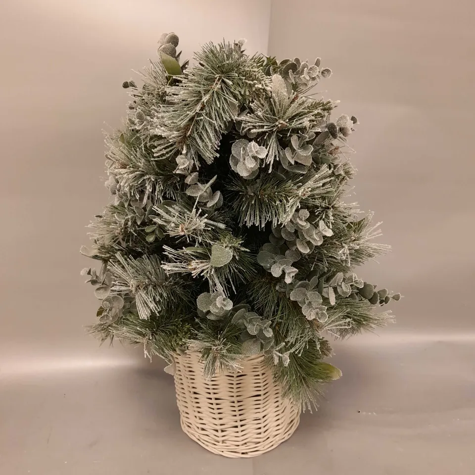 BOXED K BY KELLY HOPPEN COTSWOLDS CHOICE OF PRE-LIT GREENERY CHRISTMAS DECORATION
