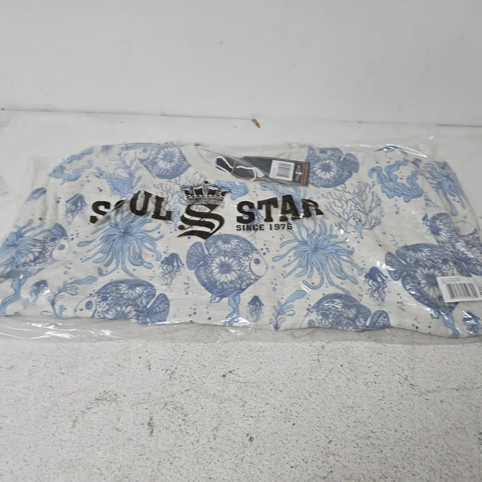 BAGGED SOUL STAR MSW LAGER ROUN NECK LONG SLEEVE TOP IN ECRU MEL - XXL
