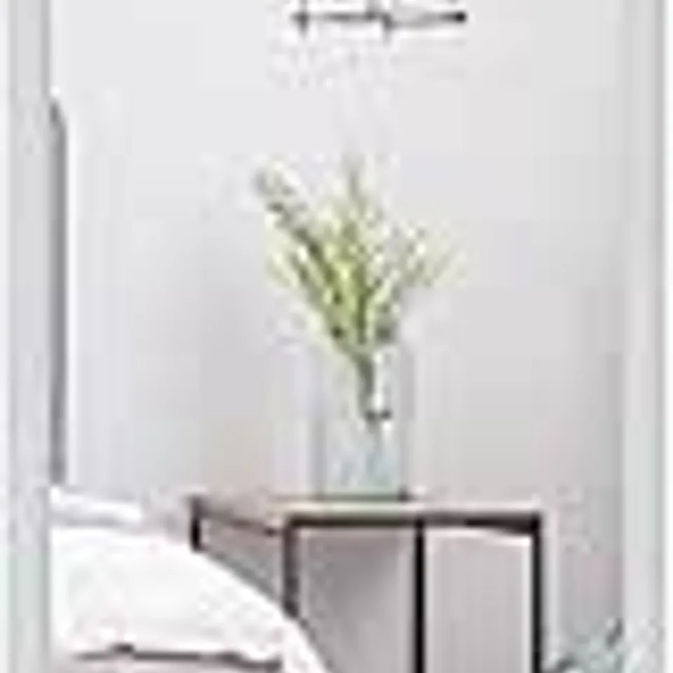 BOXED PREMIER HOUSEWARES OVER DOOR MIRROR WITH WHITE FRAME 35CM W X 3CM D X 125CM H