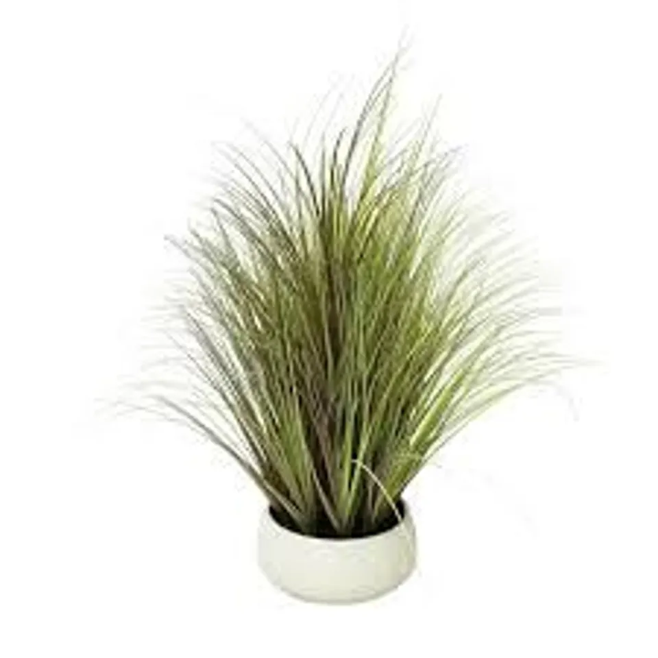 K BY KELLY HOPPEN INDOOR OUTDOOR PRE-LIT LOMANDRA GRASS W/CEMENT POT