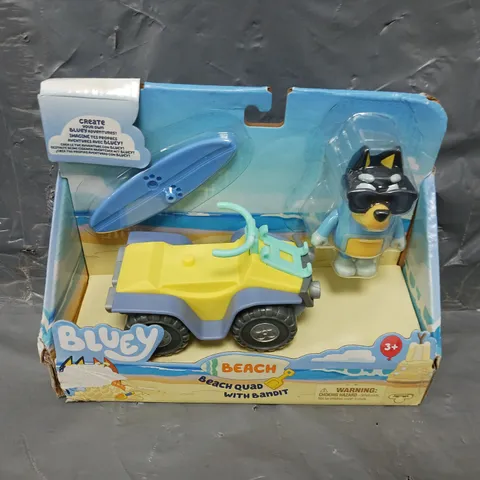BLUEY BADIT AT THE BEACH WITH QUAD 