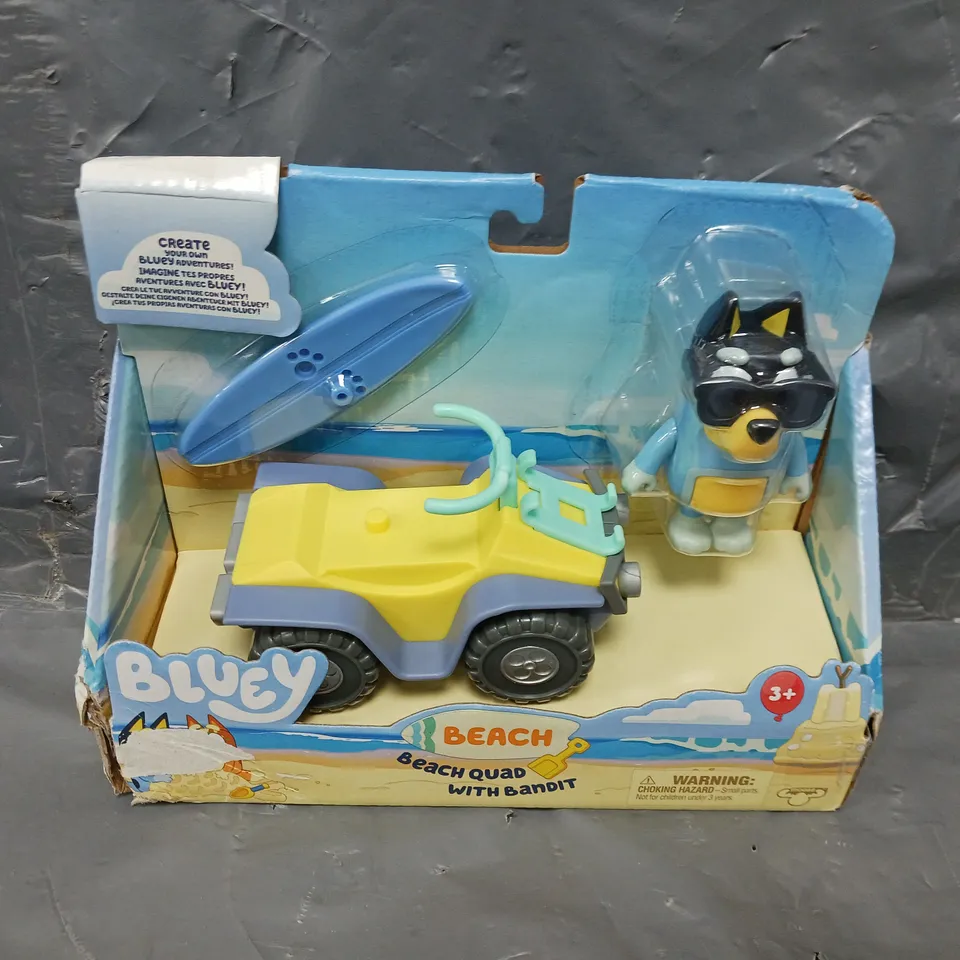BLUEY BADIT AT THE BEACH WITH QUAD 