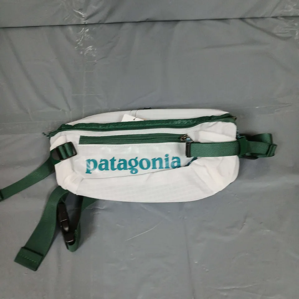 PATAGONIA FANNY PACK IN GREEN/WHITE