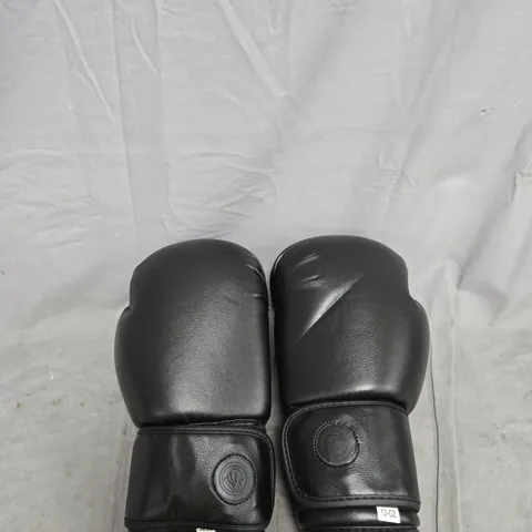 LIONS PAIR OF BOXING GLOVES BLACK 12OZ