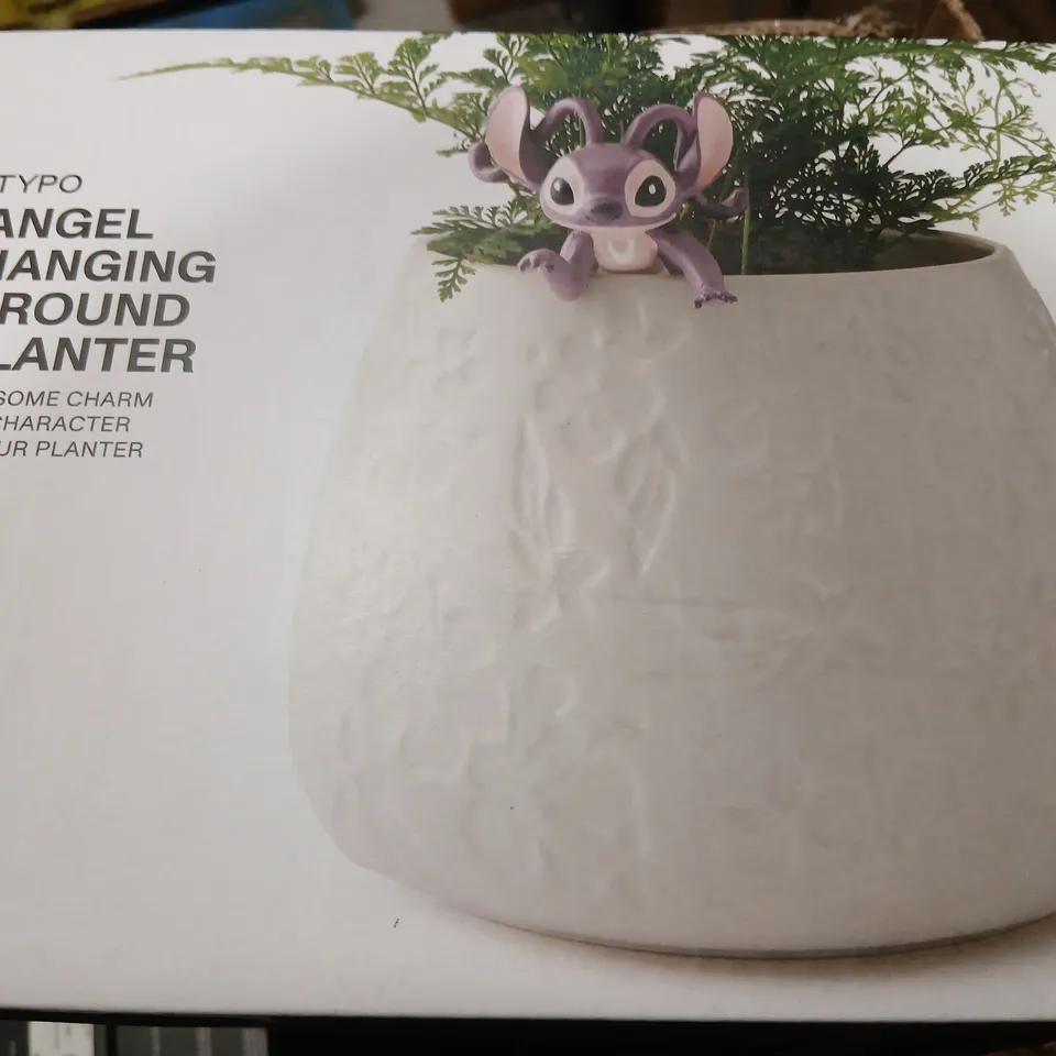 EIGHT TYPO ANGEL HANGING AROUND PLANTER – BOXED DECORATIVE PLANTER