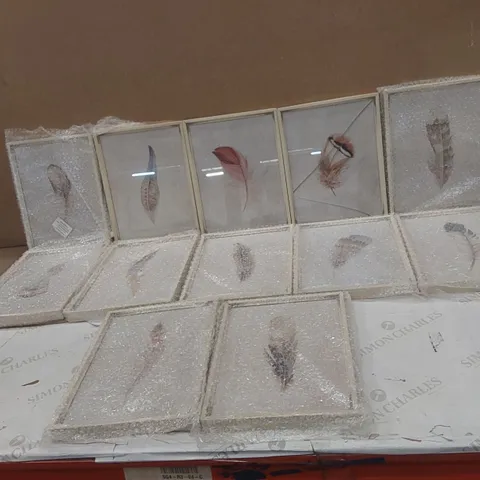 BOXED SET OF 12 FRAMED FEATHER PRINTS