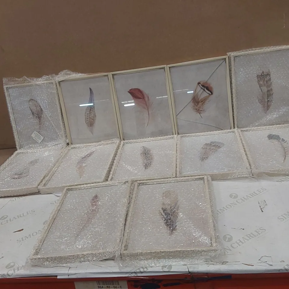 BOXED SET OF 12 FRAMED FEATHER PRINTS