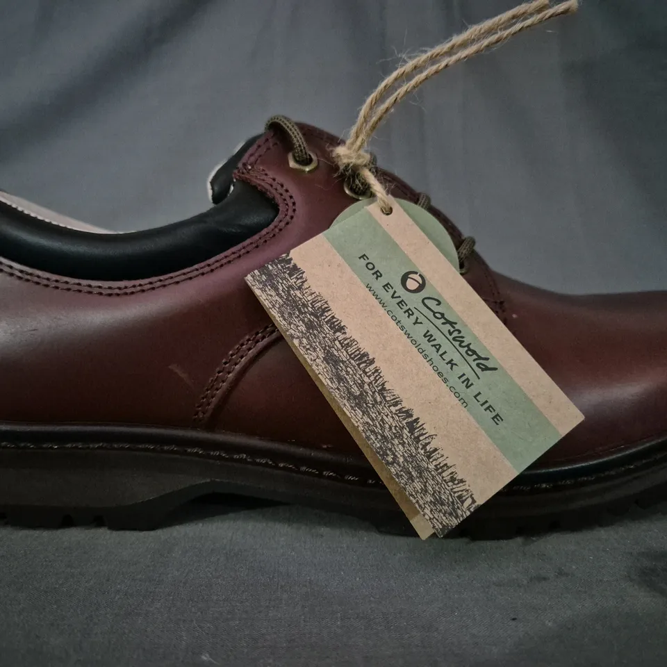 BOXED PAIR OF COTSWOLD STONESFIELD SHOES IN CHESTNUT UK SIZE 12