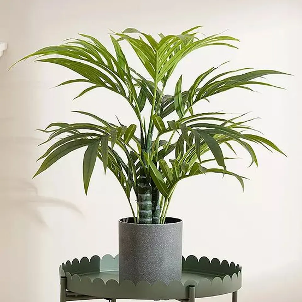 60CM PALM TREE BOXED