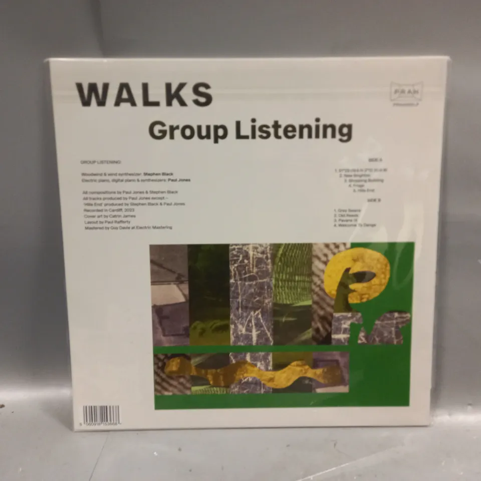 GROUP LISTENING WALKS VINYL
