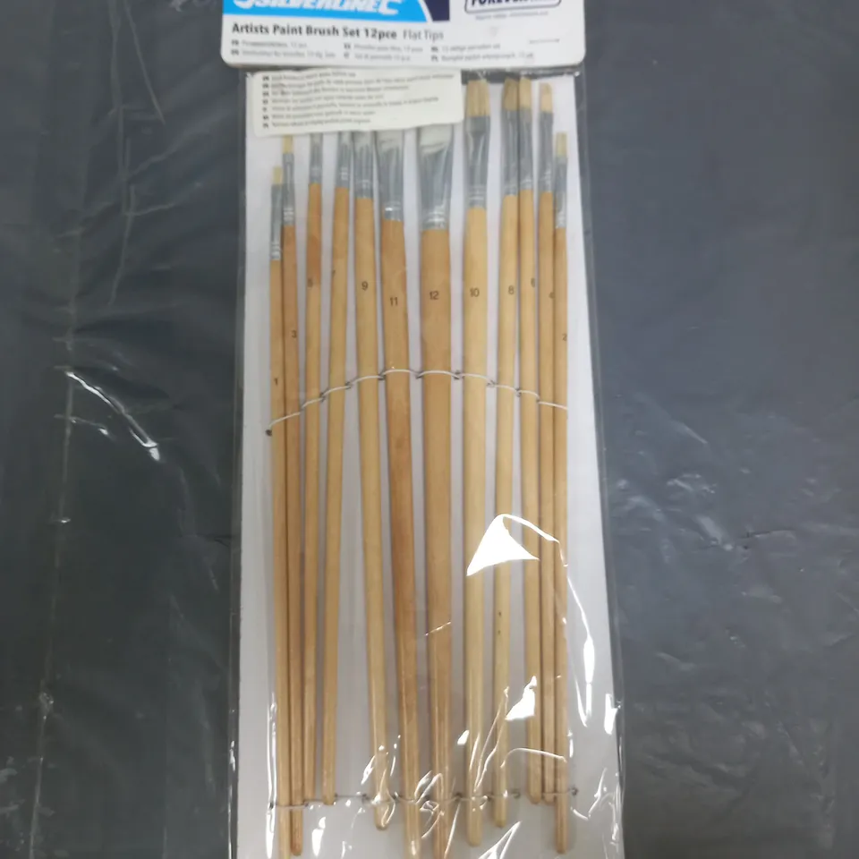 APPROXIMATELY 20 PACKS ARTISTS PAINT BRUSH SET 12 PIECES